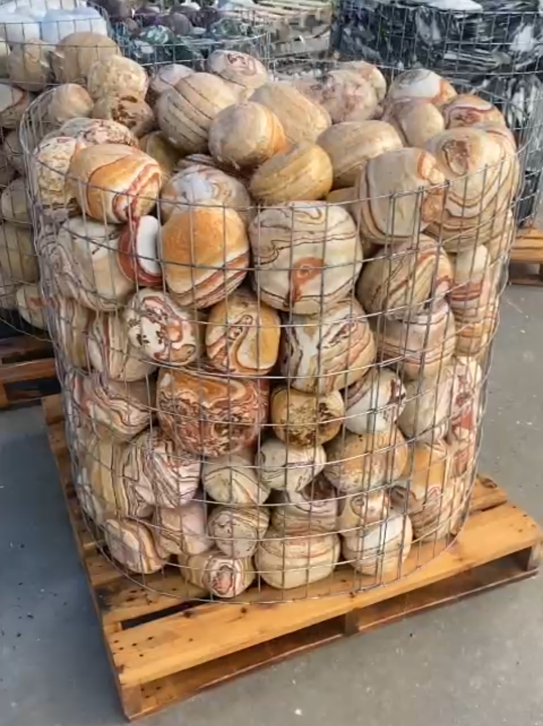 Screenshot_20220117-224413_Gallery (1)